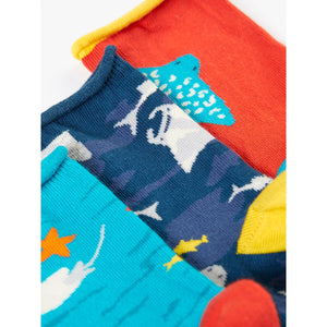 Sealife Roly Bamboo Socks - 3 Pack - 2 Left Size 4-6 years-Frugi-Modern Rascals