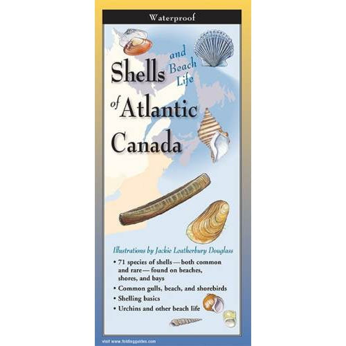 Shells of Atlantic Canada - Folding Guide-Nimbus Publishing-Modern Rascals