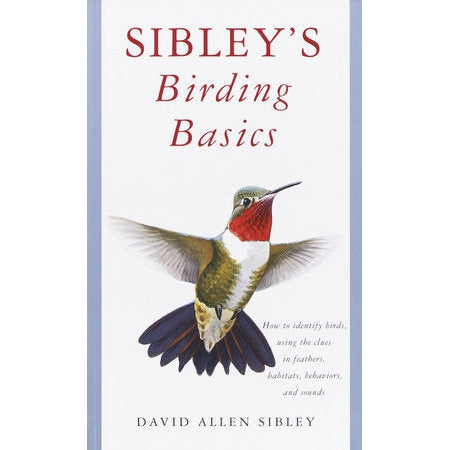 Sibley's Backyard Birding Basics-Penguin Random House-Modern Rascals