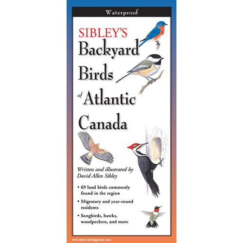 Sibley's Backyard Birds of Atlantic North America - Folding Guide-Nimbus Publishing-Modern Rascals