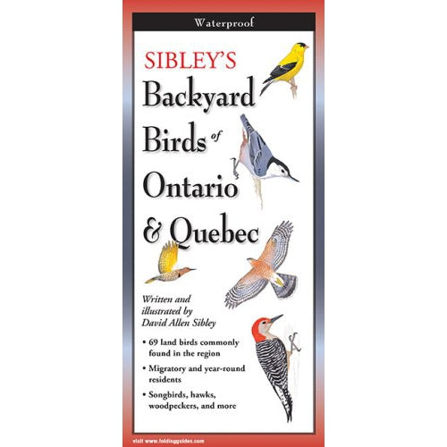 Sibley's Backyard Birds of Ontario and Quebec - Folding Guide-Nimbus Publishing-Modern Rascals
