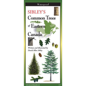 Sibley's Common Trees of Eastern Canada - Folding Guide-Nimbus Publishing-Modern Rascals