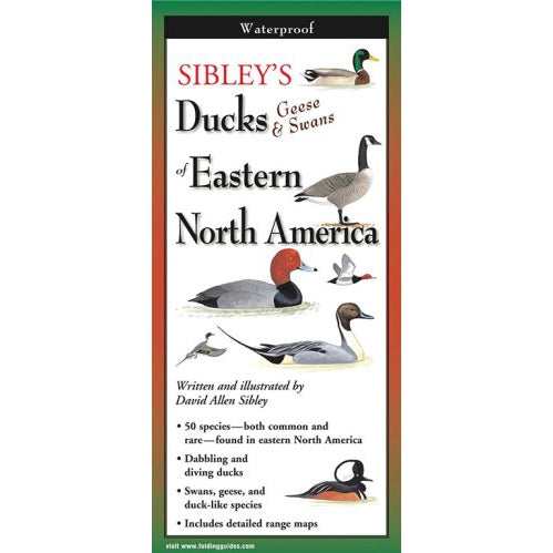 Sibley's Ducks, Geese, and Swans of Eastern North America - Folding Guide-Nimbus Publishing-Modern Rascals