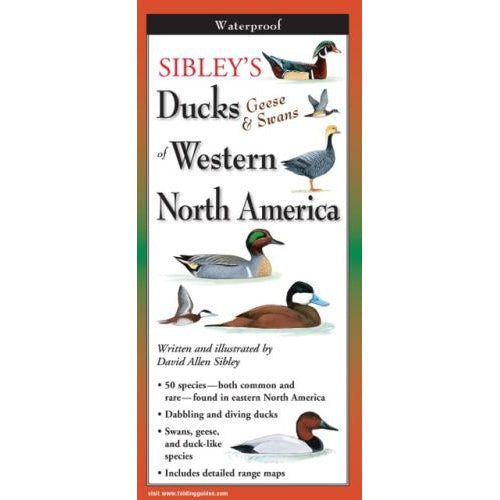 Sibley's Ducks, Geese, and Swans of Western North America - Folding Guide-Nimbus Publishing-Modern Rascals