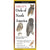 Sibley's Owls of North America - Folding Guide-Nimbus Publishing-Modern Rascals