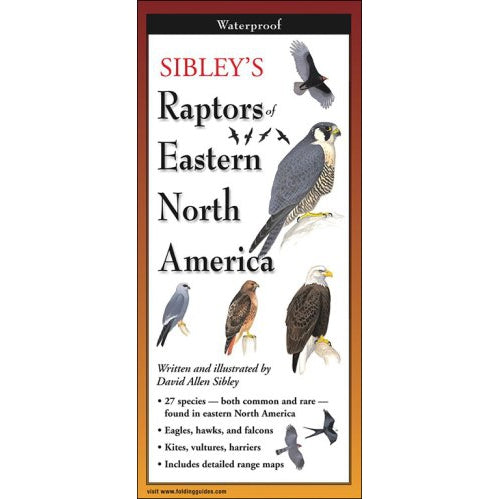 Sibley's Raptors of Eastern North America - Folding Guide-Nimbus Publishing-Modern Rascals