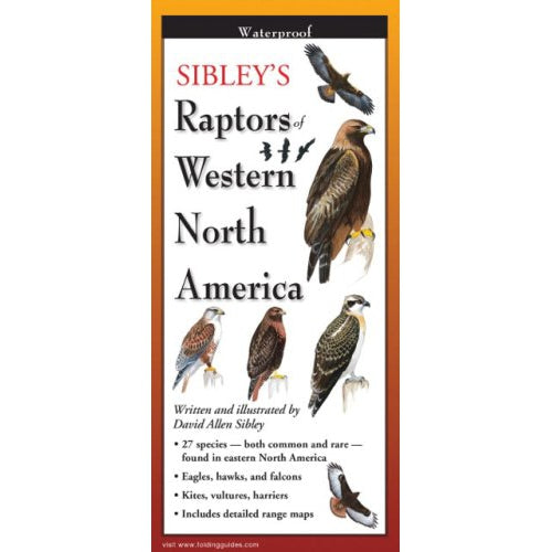 Sibley's Raptors of Western North America - Folding Guide-Nimbus Publishing-Modern Rascals
