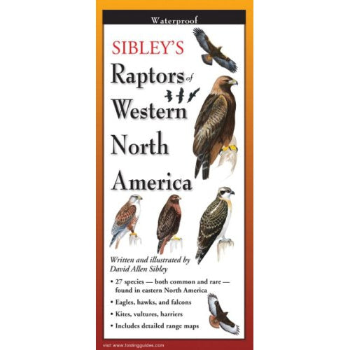 Colorado Raptors Guide Sibley's Raptors of Western North America - Folding Guide by Nimbus ...