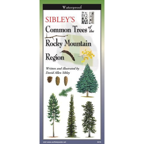 Sibley's Trees of the Rocky Mountains - Folding Guide-Nimbus Publishing-Modern Rascals