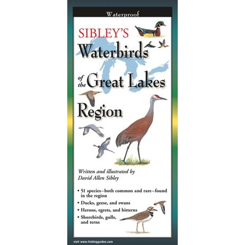 Sibley's Waterbirds of the Great Lakes - Folding Guide-Nimbus Publishing-Modern Rascals