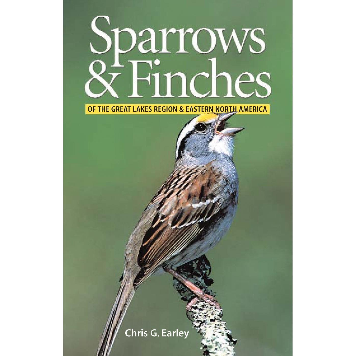 Sparrows and Finches of the Great Lakes Region and Eastern North America-Firefly Books-Modern Rascals