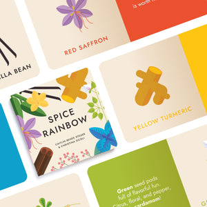 Spice Rainbow Board Book-Chunky Deli-Modern Rascals