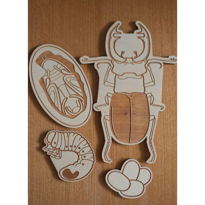 Stag Beetle Lifecycle Wooden Puzzle-Stuka Puka-Modern Rascals