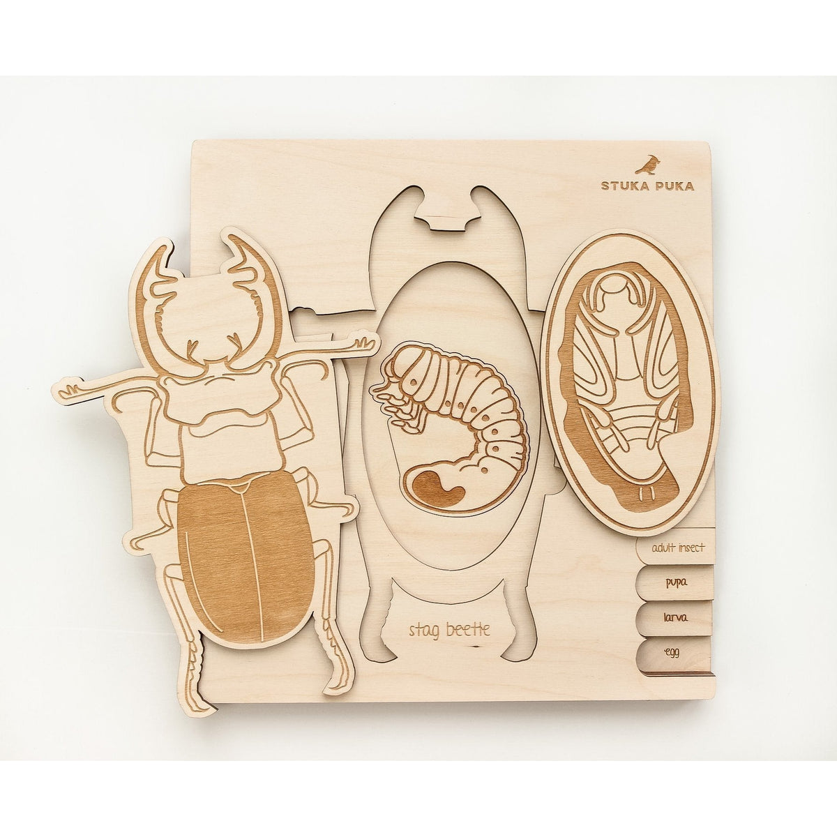Stag Beetle Lifecycle Wooden Puzzle-Stuka Puka-Modern Rascals