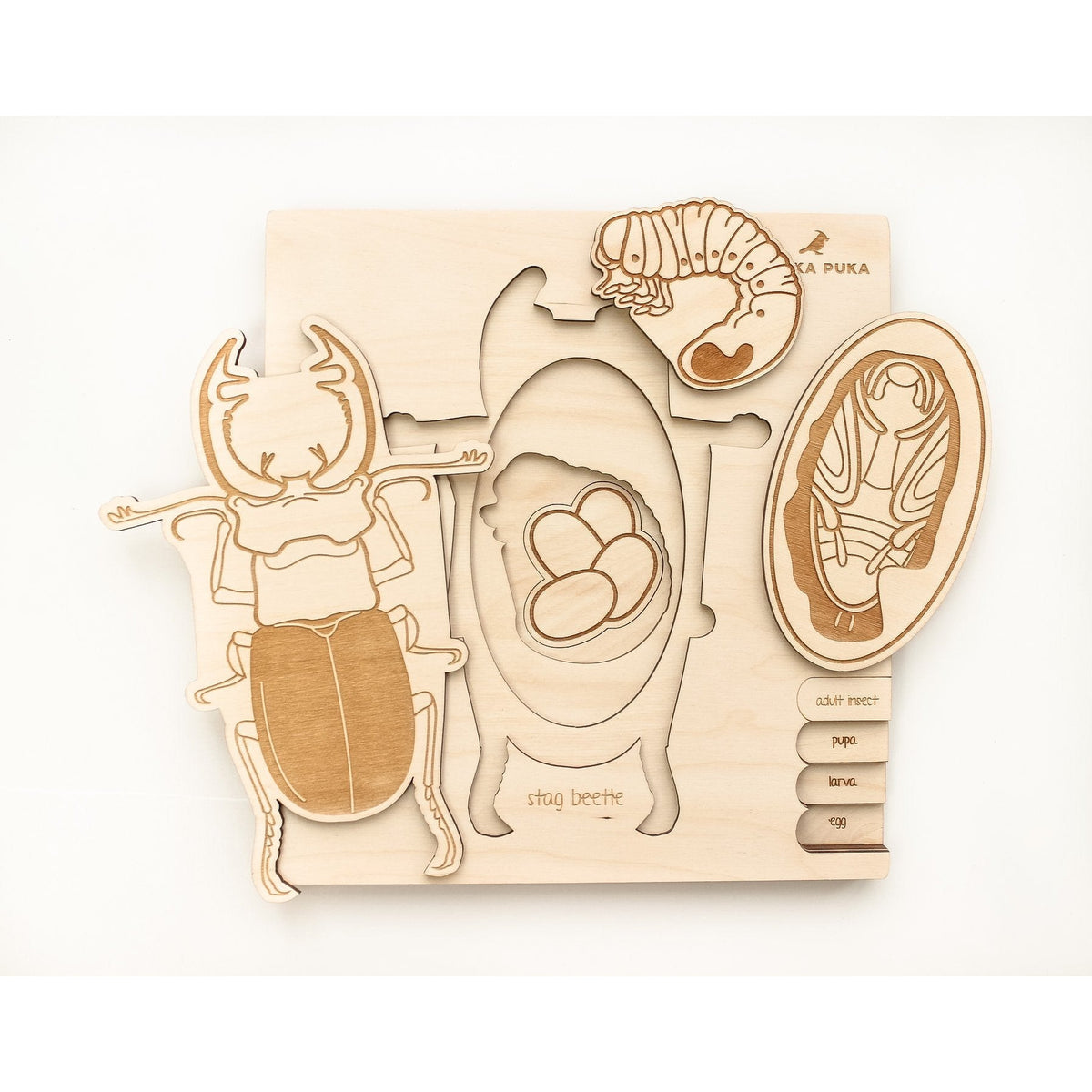 Stag Beetle Lifecycle Wooden Puzzle-Stuka Puka-Modern Rascals