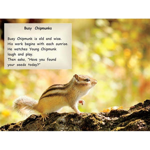 Strong Readers Set B: Busy Chipmunks (L17)-Strong Nations Publishing-Modern Rascals