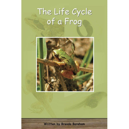 Strong Readers Set B: The Life Cycle of a Frog (L11)-Strong Nations Publishing-Modern Rascals
