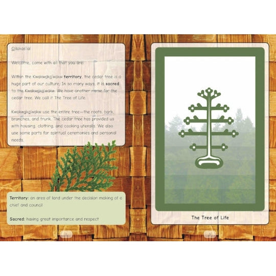 Strong Stories Kwakwaka’wakw: The Cedar Tree Our Culture, Our Tree-Strong Nations Publishing-Modern Rascals