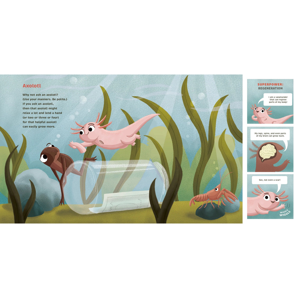 Super Small - Miniature Marvels of the Natural World-Greystone-Modern Rascals