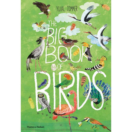 The Big Book of Birds-Penguin Random House-Modern Rascals