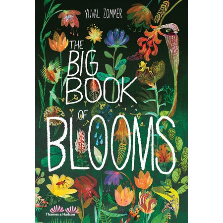 the big book of house plants The Big Book of Blooms by Penguin Random House