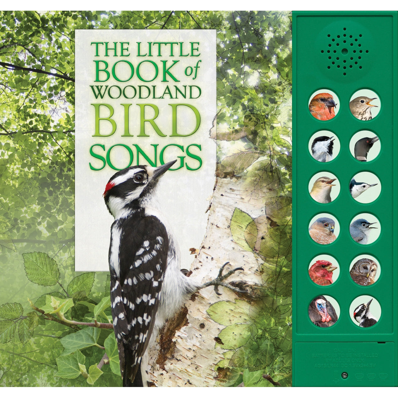 The Little Book of Woodland Bird Songs-Firefly Books-Modern Rascals