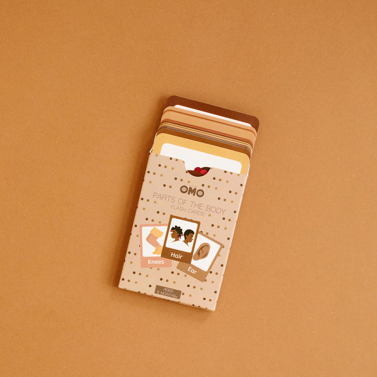 The Little Omo's Parts of the Body Flashcards-Little Omo-Modern Rascals