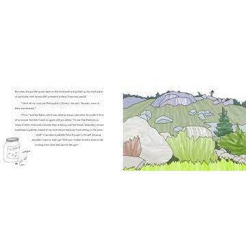 The Rock Box-Orca Book Publishers-Modern Rascals