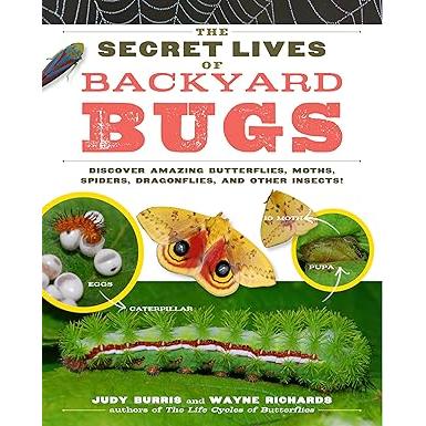 The Secret Lives Of Backyard Bugs-Warehouse Find-Modern Rascals