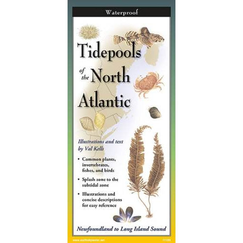 Tidepools of the North Atlantic - Folding Guide-Nimbus Publishing-Modern Rascals