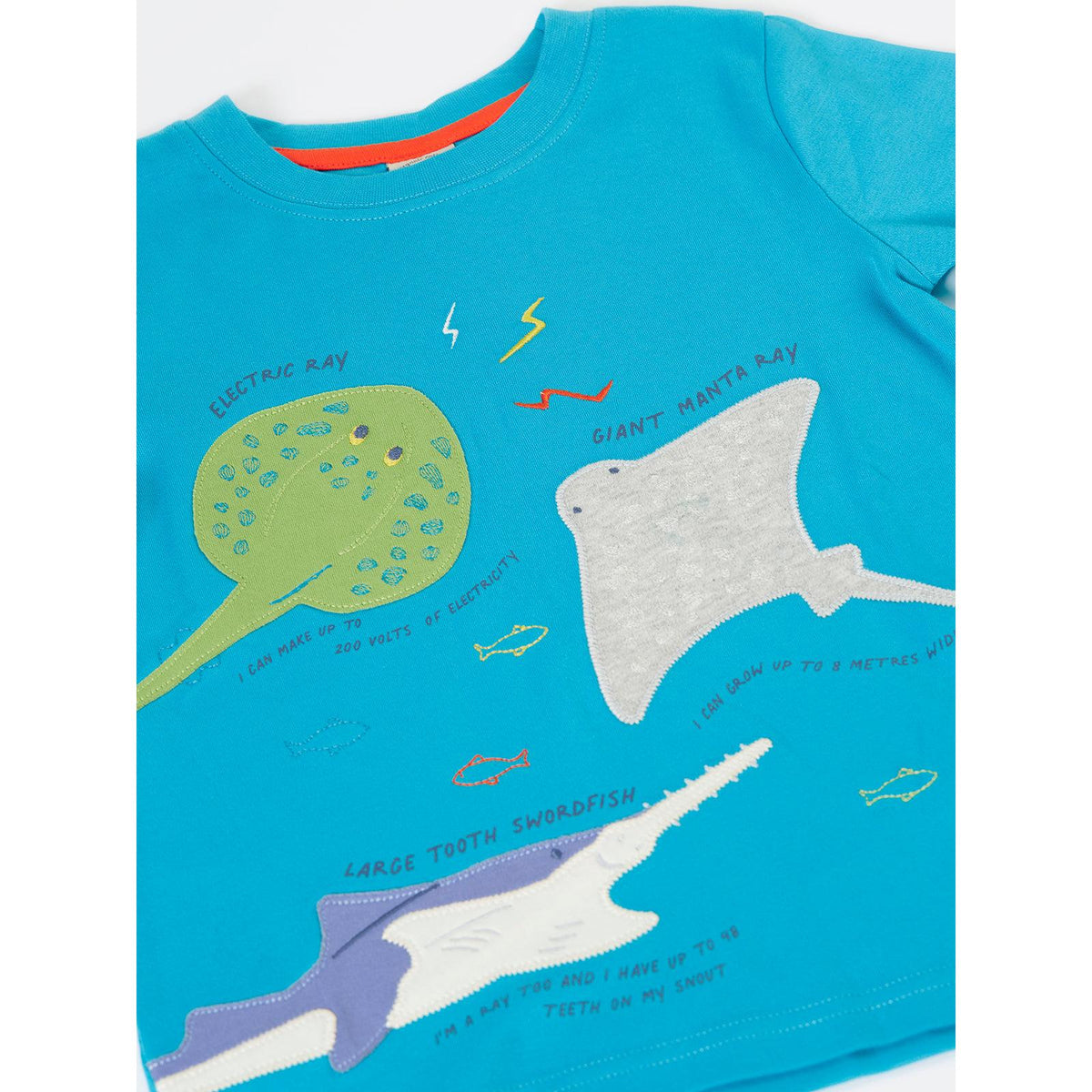 Tropical Sea/Rays Avery Circular T-Shirt - 2 Left Size 5-6 & 9-10 years-Frugi-Modern Rascals