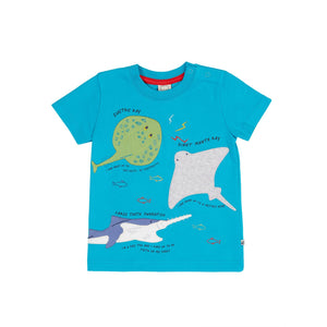 Tropical Sea/Rays Avery Circular T-Shirt - 2 Left Size 5-6 & 9-10 years-Frugi-Modern Rascals