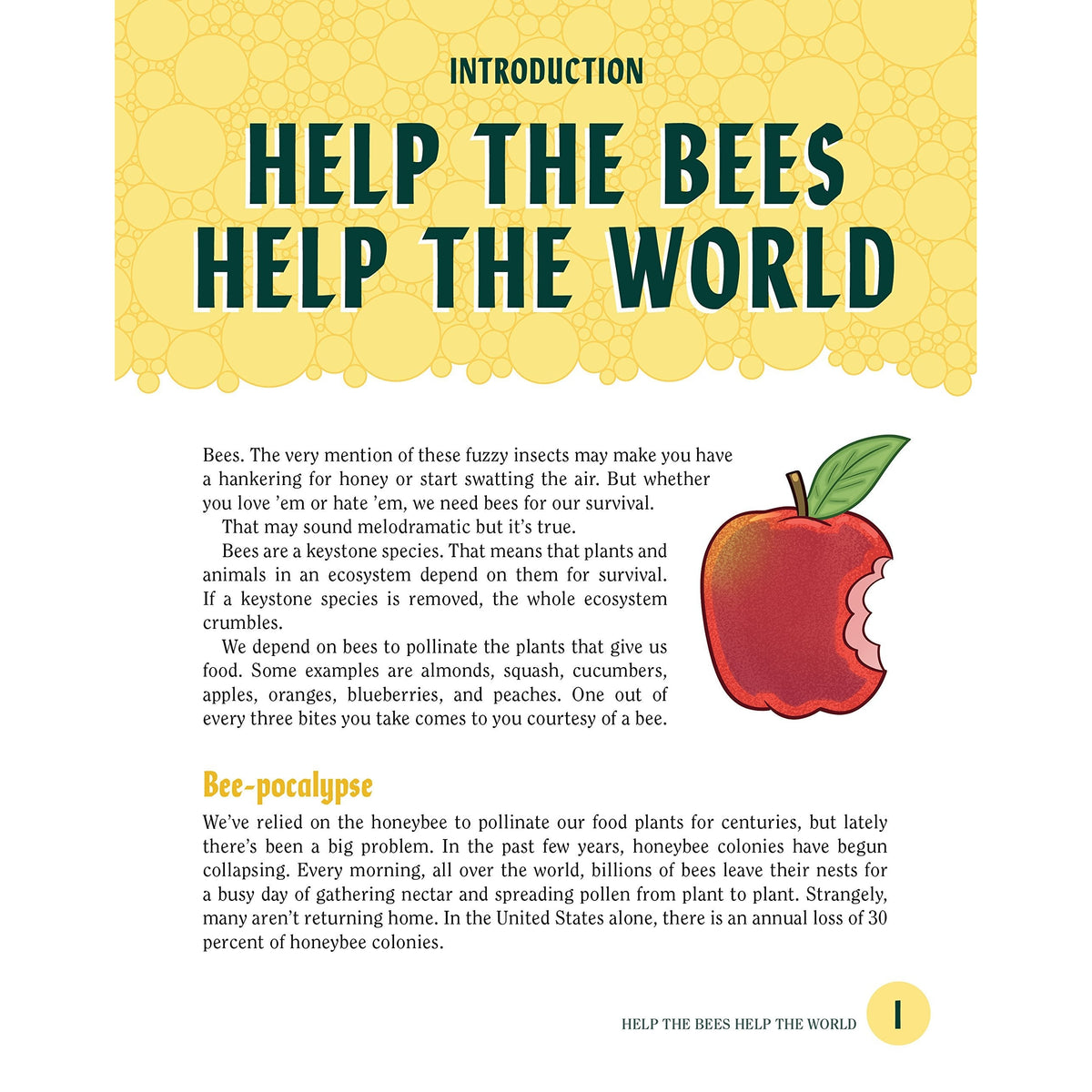 Turn This Book Into a Beehive! And 19 Other Experiments and Activities That Explore the Amazing World of Bees-Thomas Allen & Son-Modern Rascals