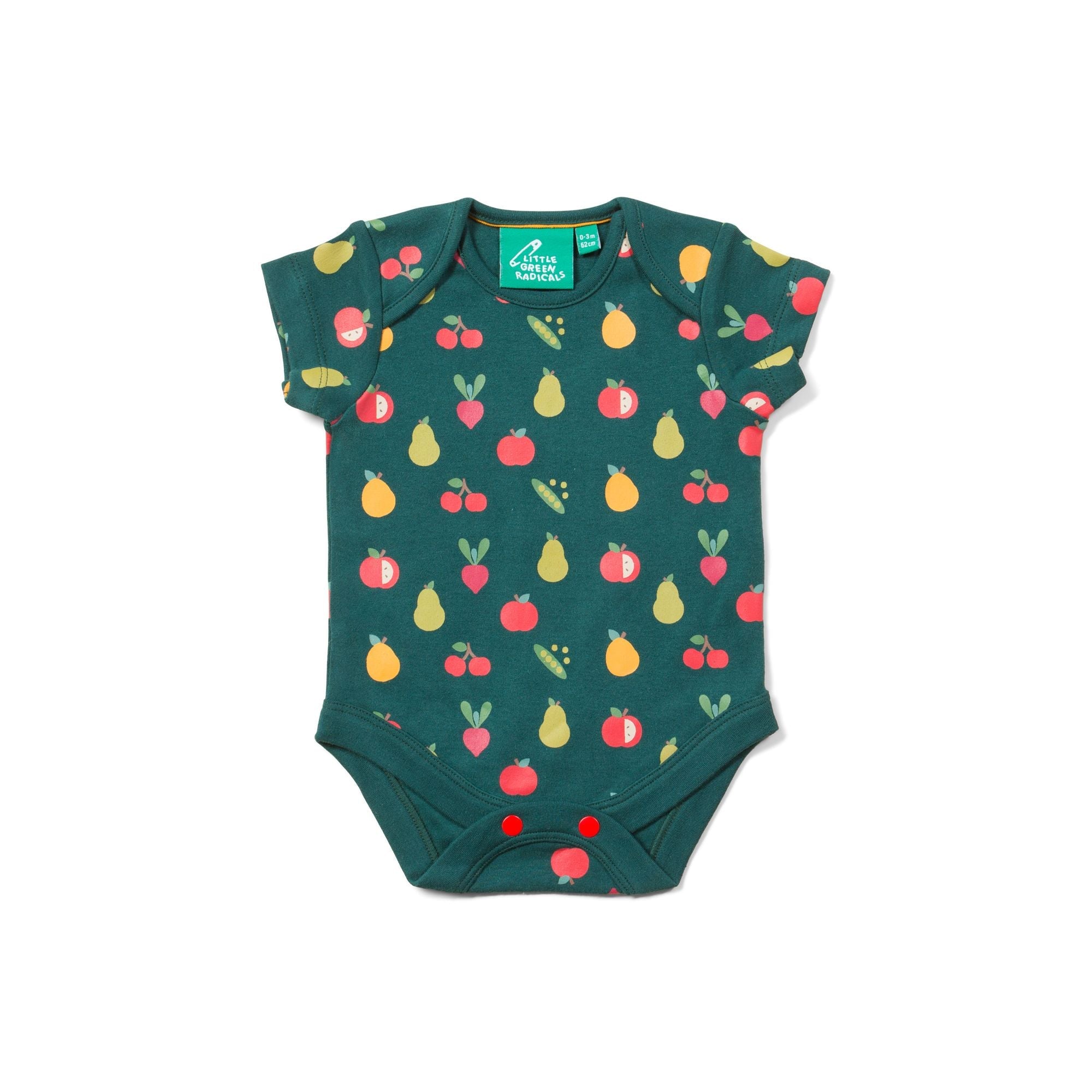 Vegetable Patch Organic Baby Onesie Set - 2 Pack by Little Green - Modern Rascals