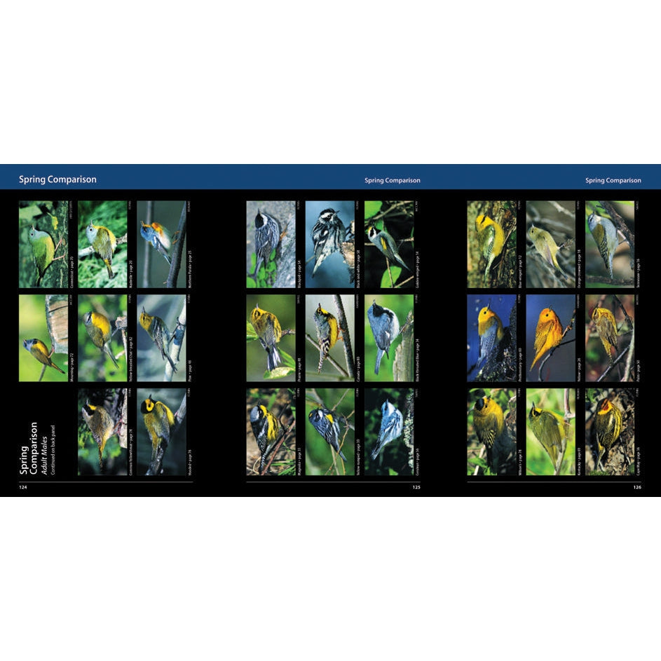 Warblers of the Great Lakes Region and Eastern North America-Firefly Books-Modern Rascals