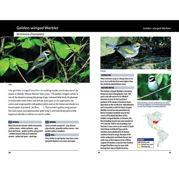 Warblers of the Great Lakes Region and Eastern North America-Firefly Books-Modern Rascals