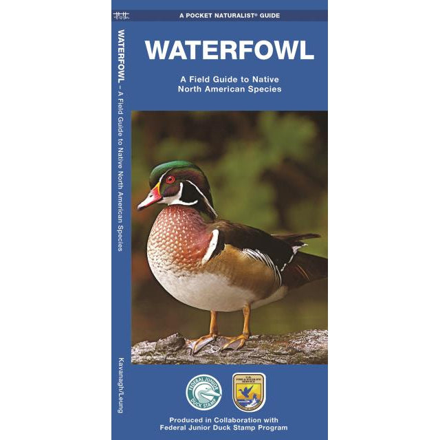 Waterfowl: A Field Guide to Native North American Species-National Book Network-Modern Rascals