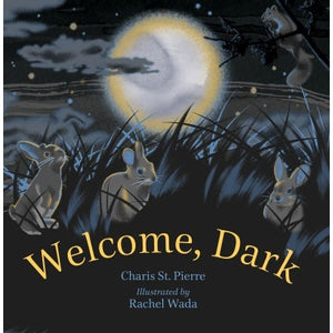 Welcome, Dark-Orca Book Publishers-Modern Rascals