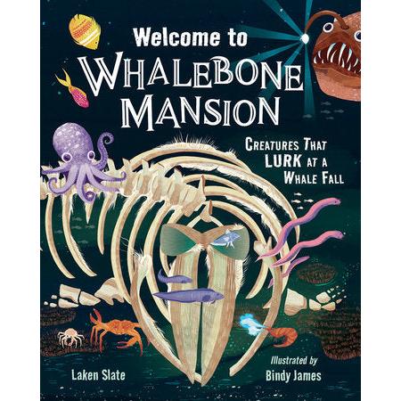 Welcome to Whalebone Mansion-Penguin Random House-Modern Rascals