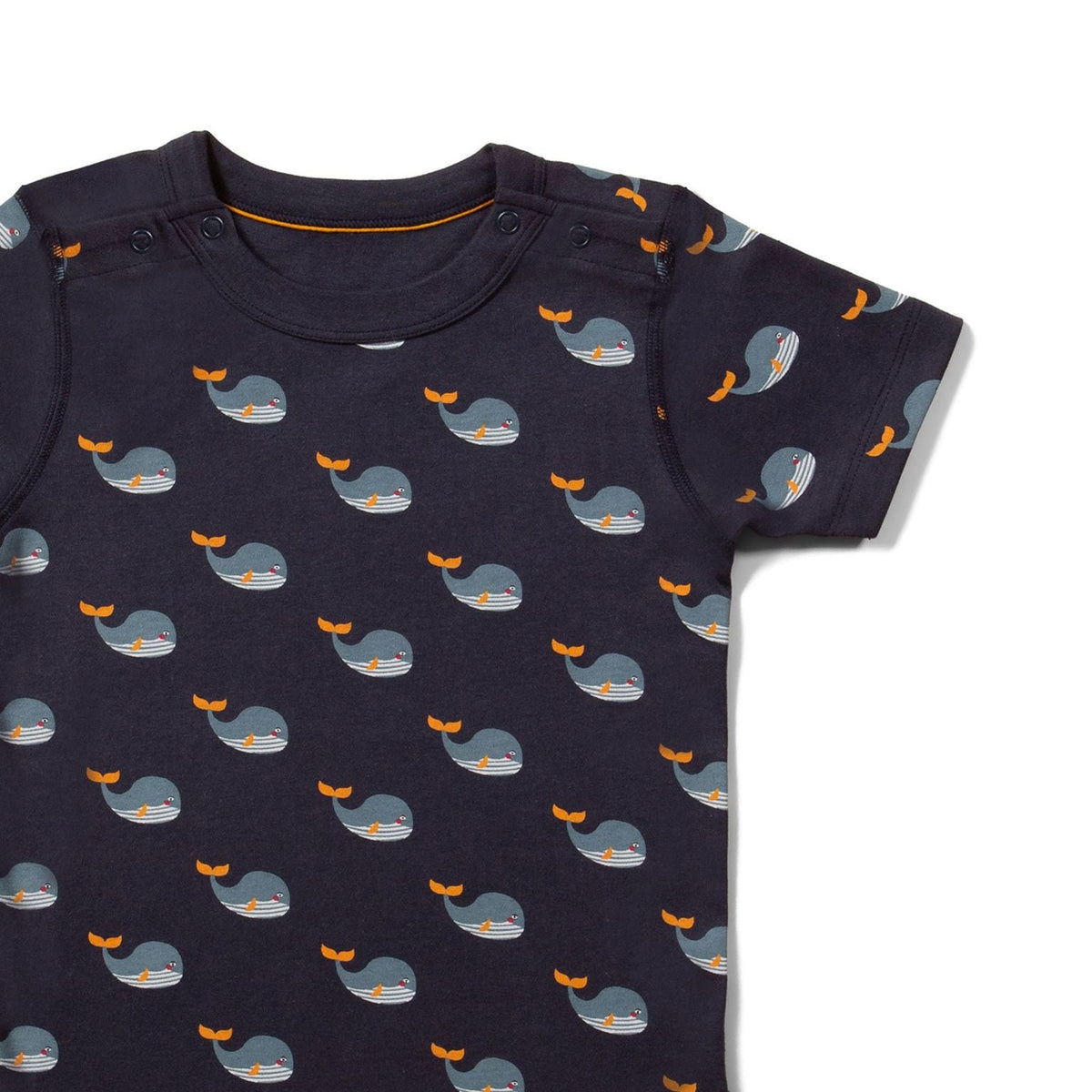 Whale Song Easy Feeding Adaptive Short Sleeve Shirt-Little Green Radicals-Modern Rascals