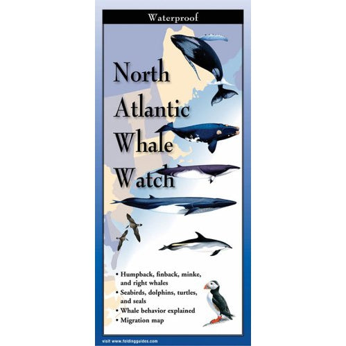 Whale Watch of the North Atlantic - Folding Guide-Nimbus Publishing-Modern Rascals