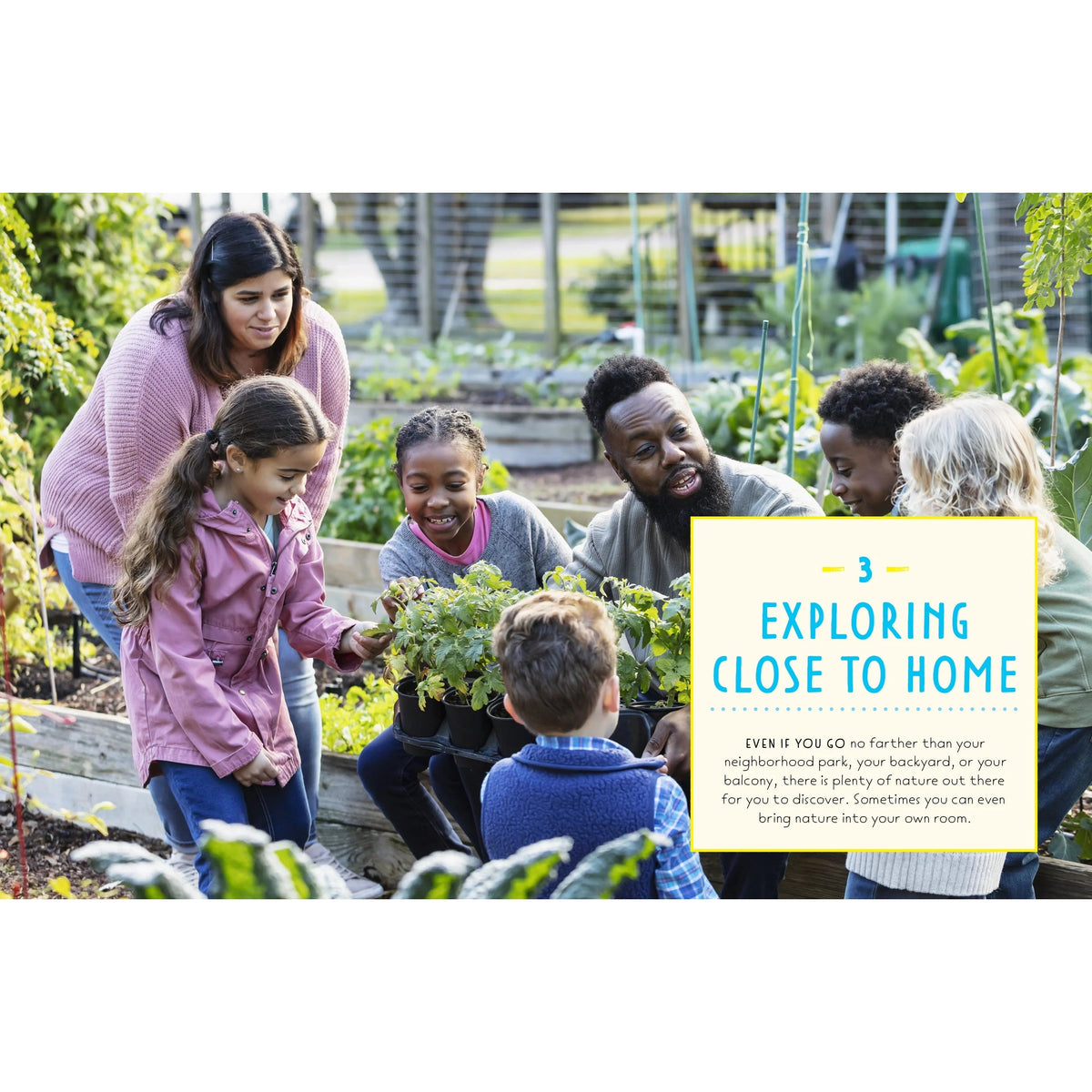 What's Wild Outside Your Door? Discovering Nature in the City-Greystone-Modern Rascals