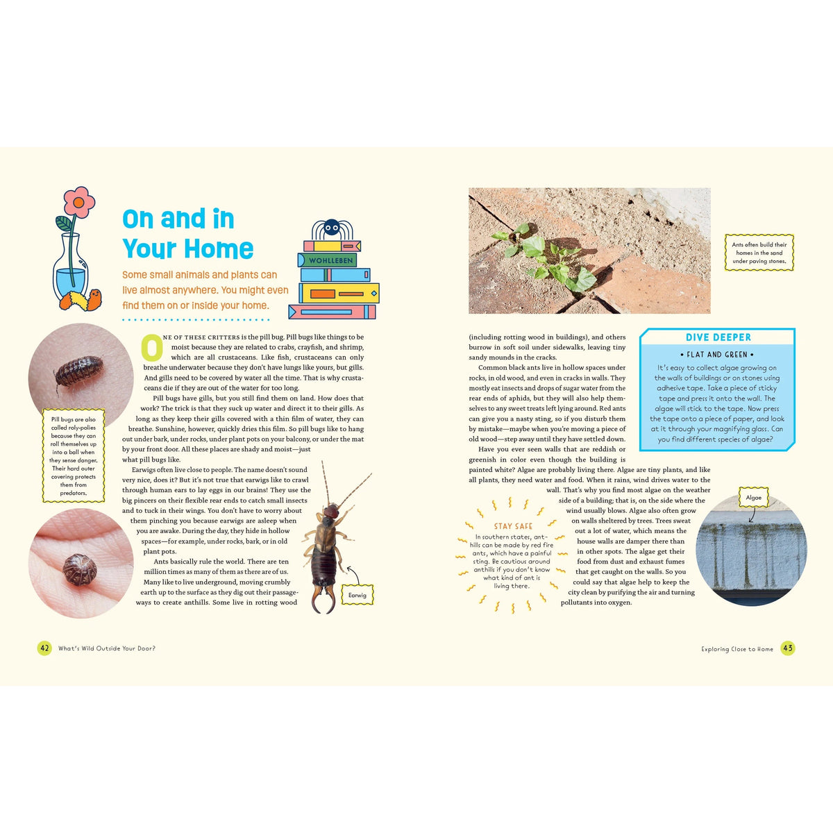 What's Wild Outside Your Door? Discovering Nature in the City-Greystone-Modern Rascals