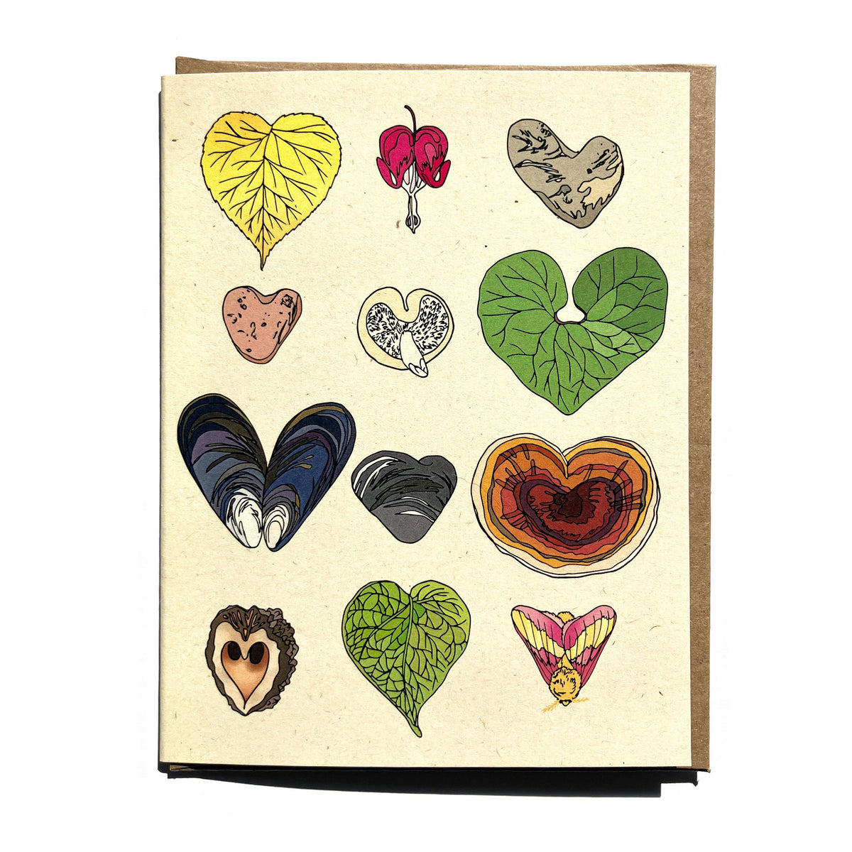 Wild Hearts Card-Wild Life Illustration Co.-Modern Rascals