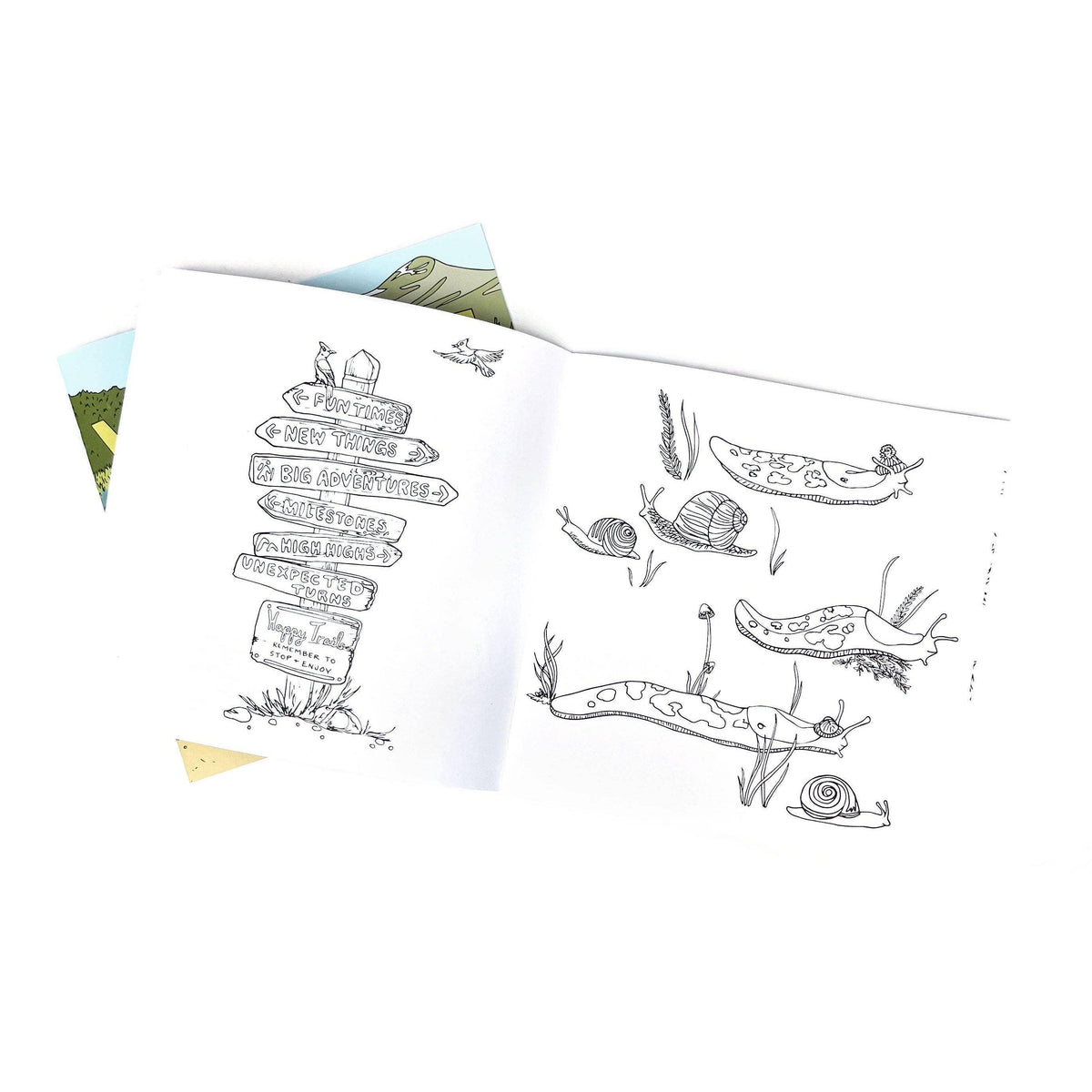 Wild Life Camp Colouring Book-Wild Life Illustration Co.-Modern Rascals