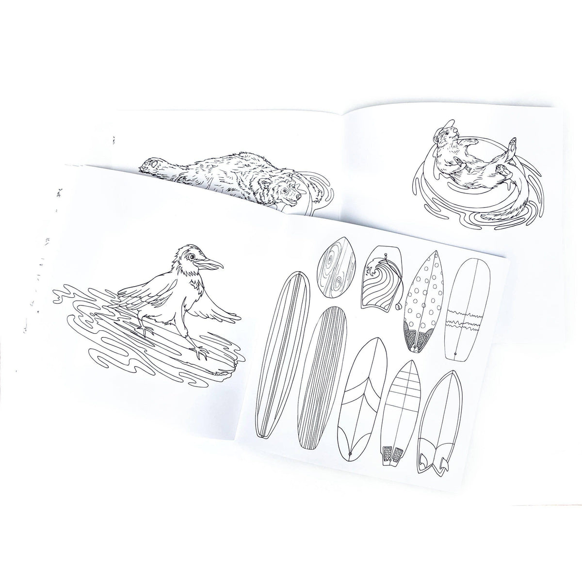 Wild Life Camp Colouring Book-Wild Life Illustration Co.-Modern Rascals