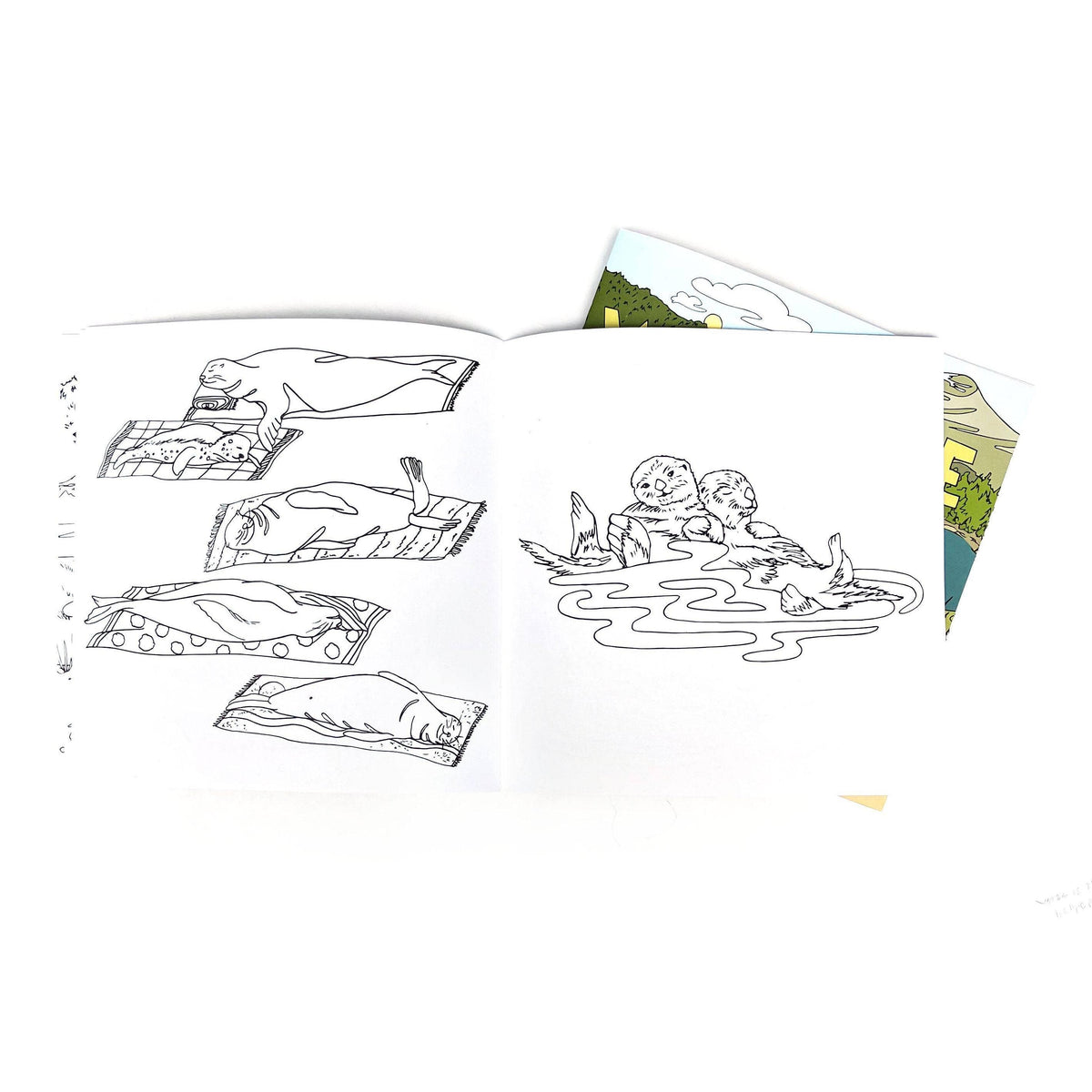 Wild Life Camp Colouring Book-Wild Life Illustration Co.-Modern Rascals