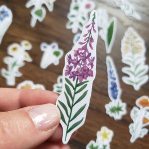 Wildflowers - Set of 16 Matte Stickers-Stephanie Hathaway Designs-Modern Rascals