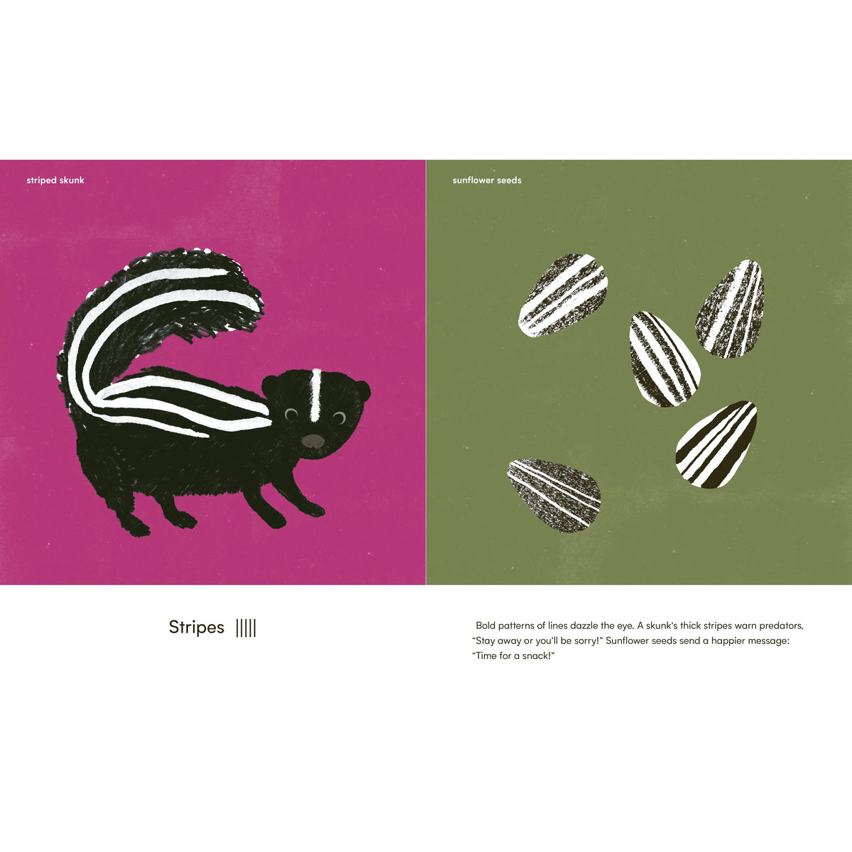 Wings, Waves, and Webs - Patterns in Nature-Greystone-Modern Rascals