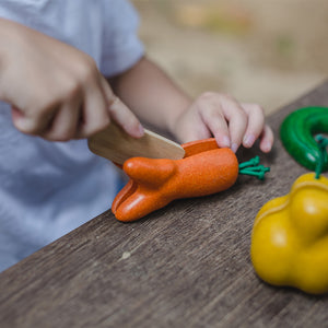 Wonky Fruit & Veg Set-PlanToys-Modern Rascals
